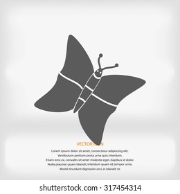 butterfly icons set
