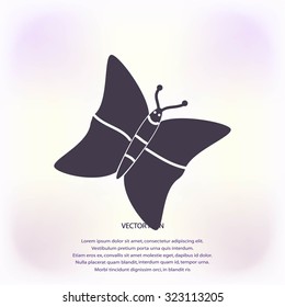 butterfly icons set