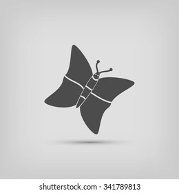 butterfly icons set