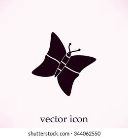 butterfly icons set