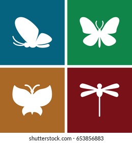 Butterfly icons set. set of 4 butterfly filled icons such as butterfly
