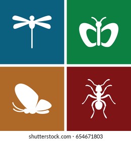 Butterfly icons set. set of 4 butterfly filled icons such as butterfly, ant