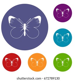Butterfly icons set in flat circle reb, blue and green color for web