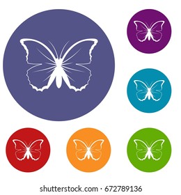 Butterfly icons set in flat circle reb, blue and green color for web