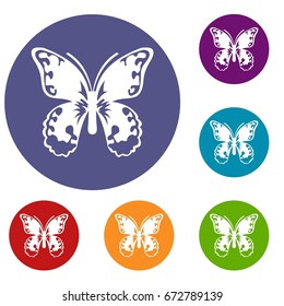 Butterfly icons set in flat circle reb, blue and green color for web