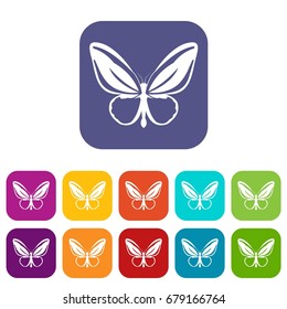 Butterfly icons set vector illustration in flat style In colors red, blue, green and other