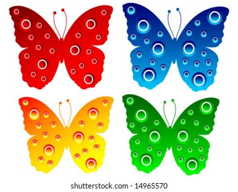 butterfly illustration