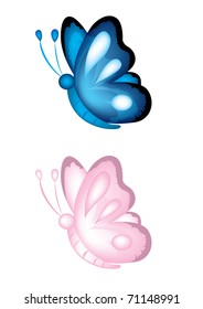 butterfly illustration