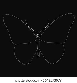Butterfly illustration in black and white, outlined in crisp white against a dark background for striking contrast. The delicate wings feature intricate details, creating an elegant and minimalist.