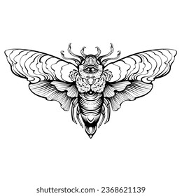 butterfly illustration cloring page black and white 