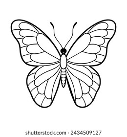 Butterfly illustration coloring page for kids