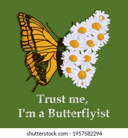 Butterfly, illustration of a Butterfly and daisies. Vector
