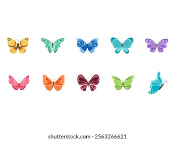 Butterfly Illustration Design Element Set