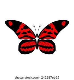 butterfly illustration logo, butterfly vector logo