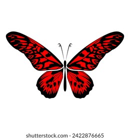 butterfly illustration logo, butterfly vector logo