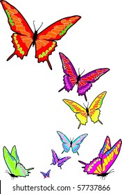 butterfly illustration made from vectors by hand after a photo of the insect