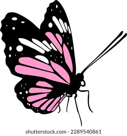 Butterfly illustration with pink color background 