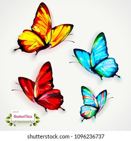 Butterfly illustration. Set of four differently colored  isolated on white. Can be used in different ways of design, appearance, cover, etc. Vector - stock.