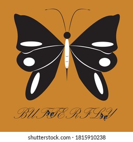 butterfly illustration and stock vector