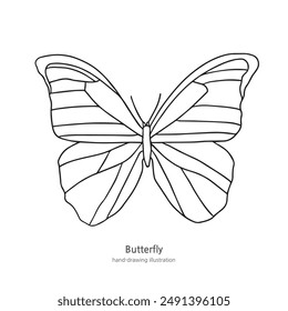 It is a butterfly illustration that is good for coloring because of its simple wings.