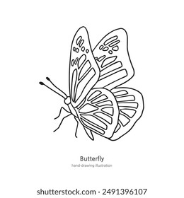 It is a butterfly illustration that is good for coloring because of its simple wings.