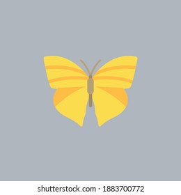 Butterfly illustration. This is a very cute and beautiful butterfly.