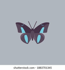 Butterfly illustration. This is a very cute and beautiful butterfly.