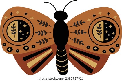butterfly illustration vector. Colorful nature insect, summer butterfly, decoration element drawing.