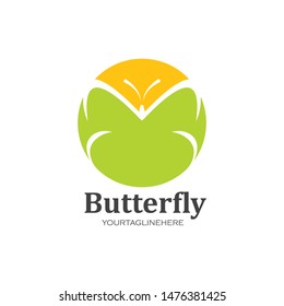 butterfly illustration vector design template