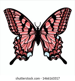 Butterfly illustration vector, EPS 10