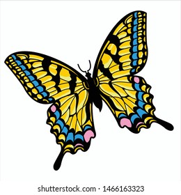 Butterfly illustration vector, EPS 10