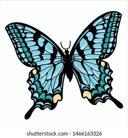 Butterfly illustration vector, EPS 10