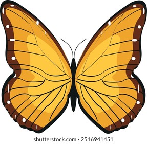  butterfly illustration vector . Flying butterflies isolated on white. Summer