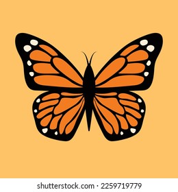 Butterfly illustration. Vector graphic of orange monarch butterfly. 