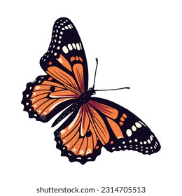 Butterfly illustration. white background vector