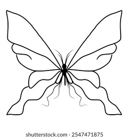 butterfly illustration with its wings spread wide