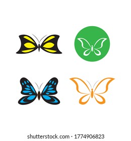 butterfly ilustration design vector icon