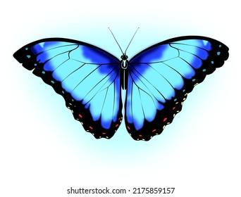 Butterfly image. Body tattoo, t-shirt logo, nightclub logo, avatar image.