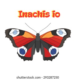 Butterfly inachis io vector illustration