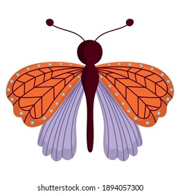 butterfly insect animal, decorative wings on white background vector illustration