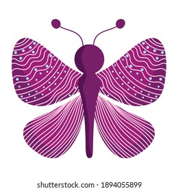 butterfly insect animal, dotted and lined wings, decorative wings on white background vector illustration