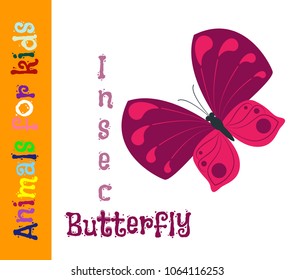 Butterfly. Insect. Animals for children. Cards for the development of the youngest children with the image of animals, birds, insects, reptiles. Vector. Color picture