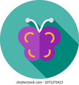 Butterfly, insect, beautiful