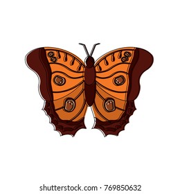 butterfly insect bug icon image
