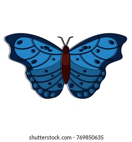 butterfly insect bug icon image