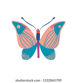 Butterfly Insect with Colorful Wings Vector Illustration