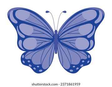 butterfly insect illustration isolated vector