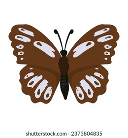 butterfly insect illustration isolated vector