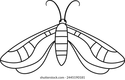 Butterfly Insect Lined Vector Illustration