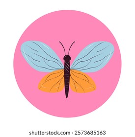 Butterfly insect moth cute concept. Vector design graphic illustration